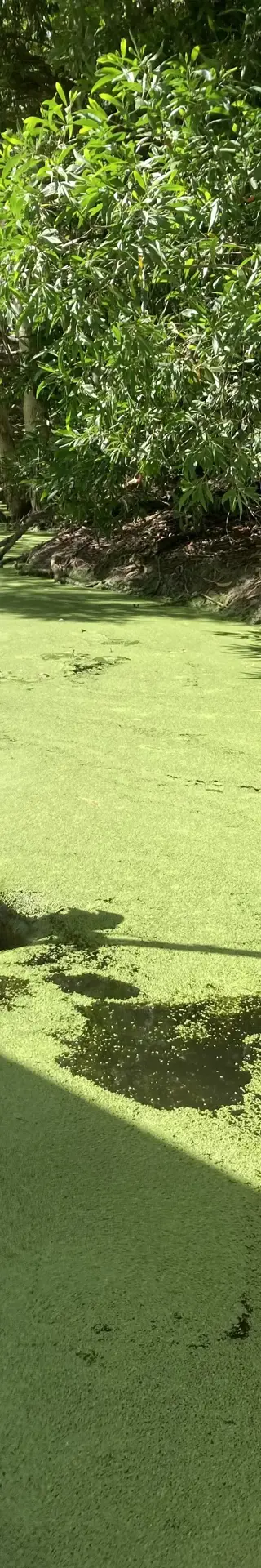 Tierische Begegnungen zum Abschluss unserer Reise